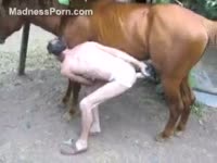 Pet Tube - Skinny fuck-hungry stud is having intercourse with his friend&#039;s horse